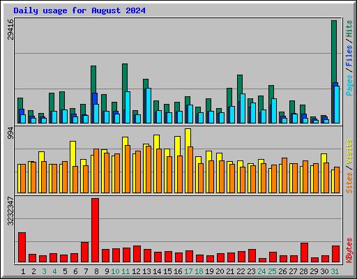 Daily usage for August 2024