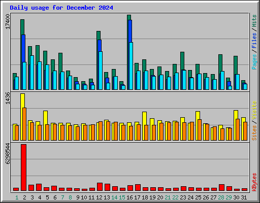 Daily usage for December 2024