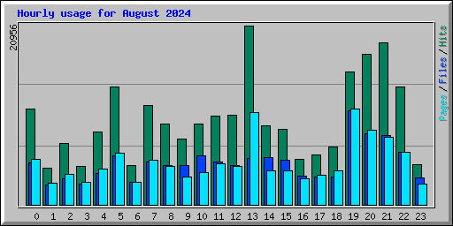 Hourly usage for August 2024