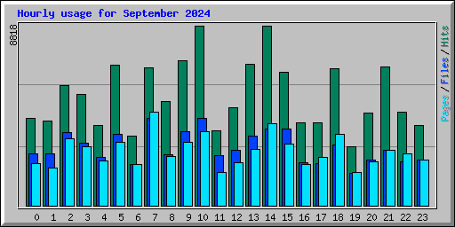 Hourly usage for September 2024
