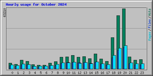 Hourly usage for October 2024