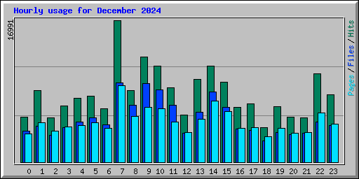 Hourly usage for December 2024