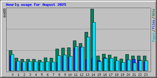 Hourly usage for August 2025