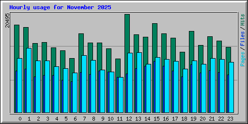 Hourly usage for November 2025