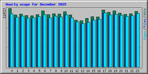 Hourly usage for December 2025