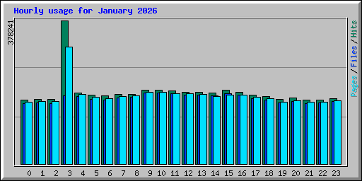 Hourly usage for January 2026