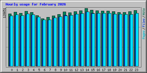 Hourly usage for February 2026