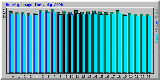 Hourly usage for July 2026