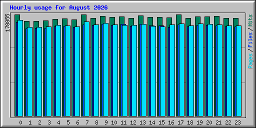 Hourly usage for August 2026